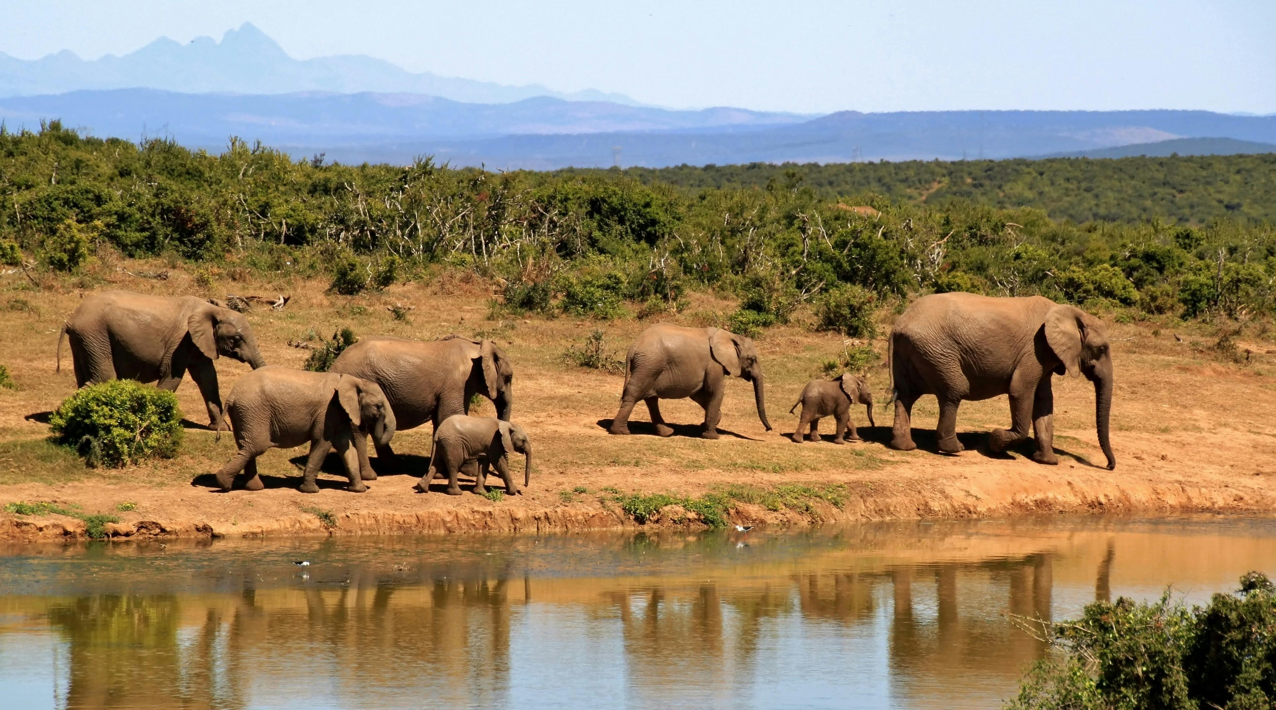 Zuid Afrika