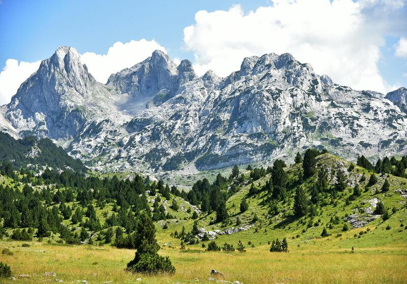 Bosnië-Herzegovina